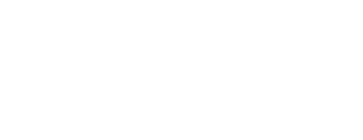 Alemana Sport